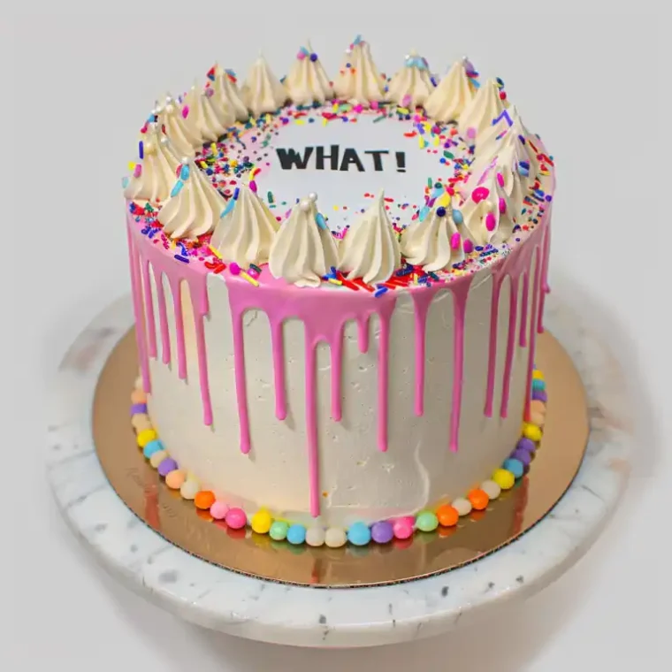 How to Make a Burn-Away Cake: Hidden Reveal You’ll Love 6 Colorful burn-away cake with pink drip icing, sprinkles, and “WHAT!” message on top