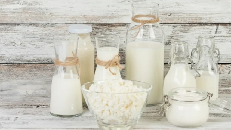 Fermented Milk – A Deep Dive Into Tradition, Nutrition, and Modern Wellness 2 A rustic wooden table displaying various glass bottles and jars filled with fermented milk products like kefir, yogurt, and cottage cheese.